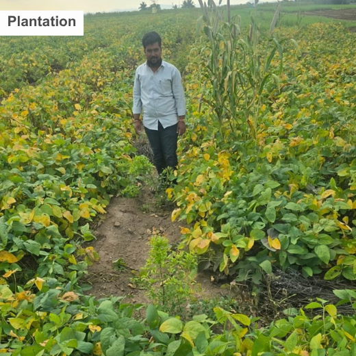 IICSR Group: Growing a Greener and More Sustainable Future – Planting