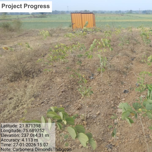 Sparkling Sustainability: Carbonera’s Green Initiative – 6 months