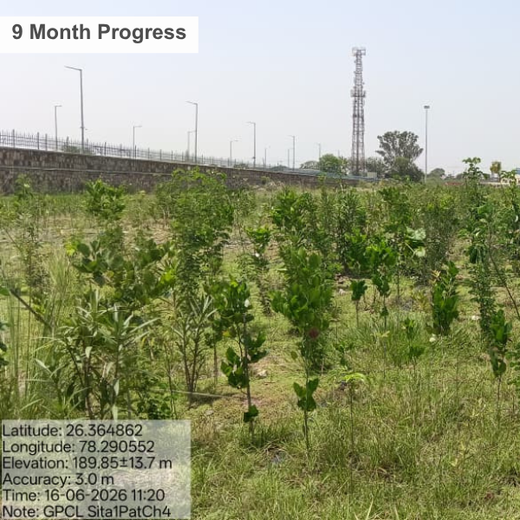 Forest by Design: Godrej Turns Industrial Space into Biodiversity Hub – 2 years