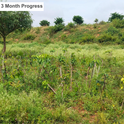 Delivering Sustainability: KWE's Eco-Conscious CSR Journey – 1 year