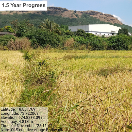 OLS Empowers Sustainability: Engaging Employees Through Agroforestry Tree Plantation – 6 months