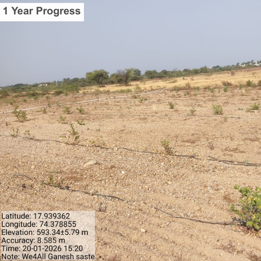 Reforesting with Purpose: We4All’s Tree Plantation for Climate & Livelihood – 3 years