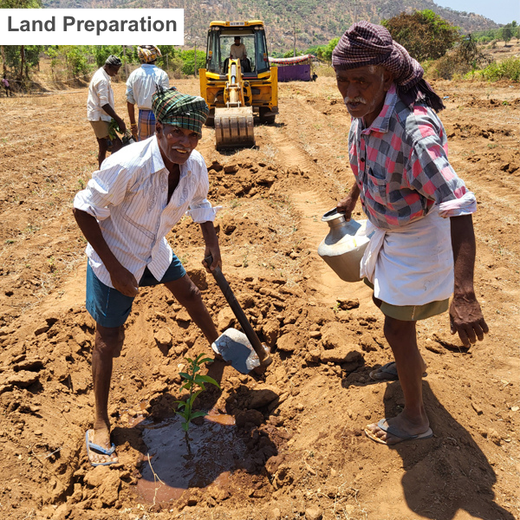 Tally Solutions Private Limited’s Sustainability Initiative – Planting