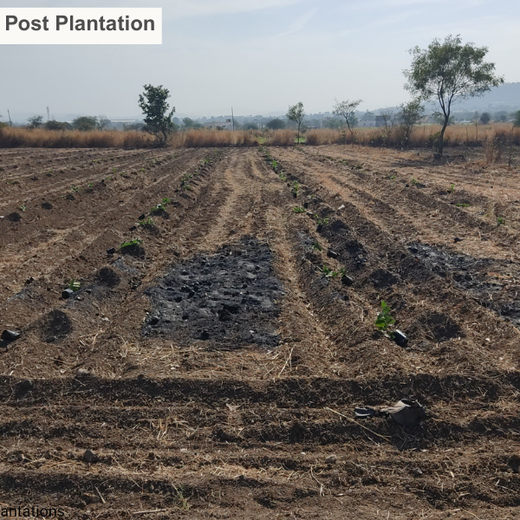 AIT’s Green Start to 2025: Growing Bonds, Growing Trees – 6 months