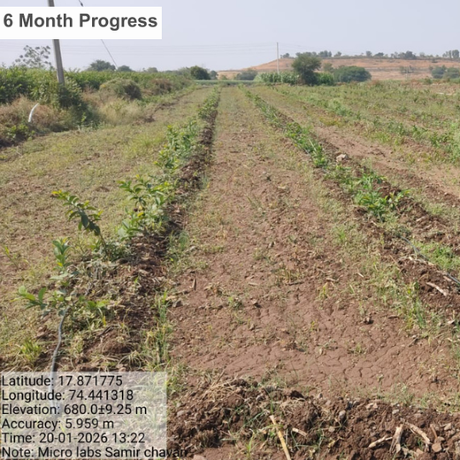 World Environment Day: Green Initiative by Micro Labs Limited – 2 years