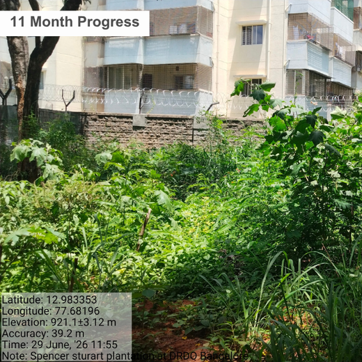 Urban Roots, Global Impact: Spencer Stuart’s Environmental Initiative – 1 year