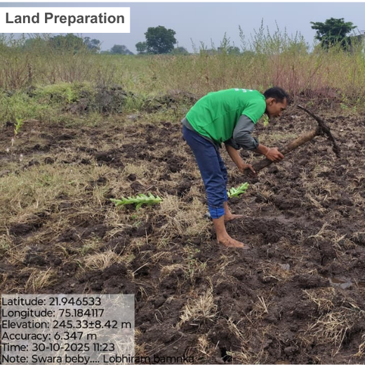 Every Dot Counts: Swara Baby Products’ Green Initiative with MPL – Planting