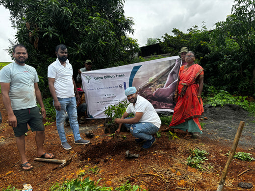 Celebrating Leadership: Prasol Chemicals’ Initiative at 65th Birthday – Planting