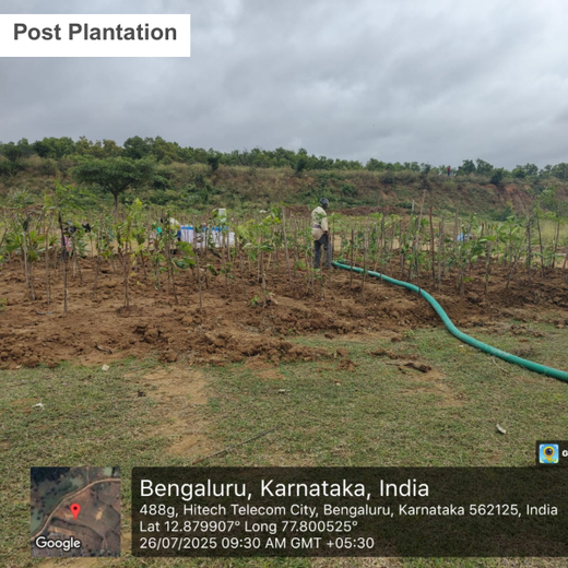 Branching Out for Change: Itron India Pvt Ltd's CSR for Urban Forests – 6 months