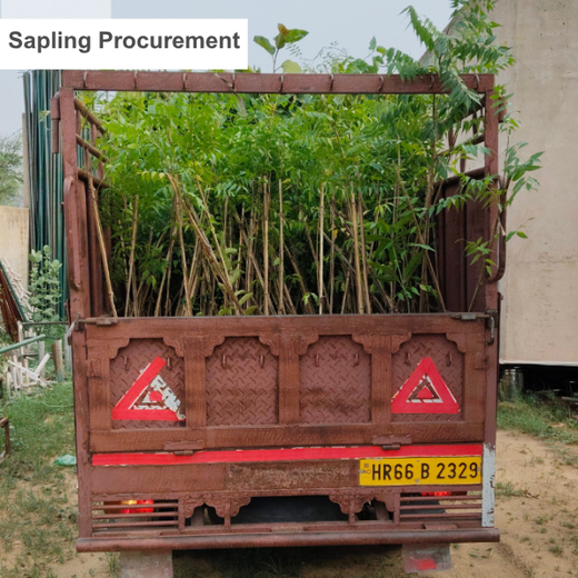 Reliance Industries Initiative: Community Tree Plantation for a Greener Future – Planting