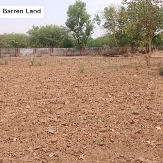 Group Landmark's ROAR (Reduce to Zero, Add Responsibility) Initiative: Miyawaki Forests – Planting