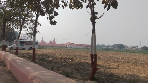 Mahakal Van - Ujjain, MP – Planting