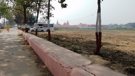 Mahakal Van - Ujjain, MP – Planting