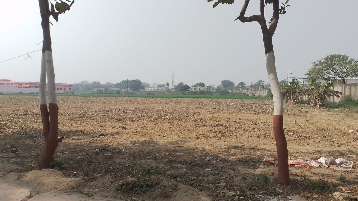 Mahakal Van - Ujjain, MP