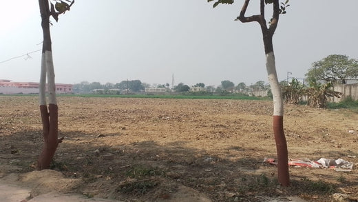 Mahakal Van - Ujjain, MP – Planting