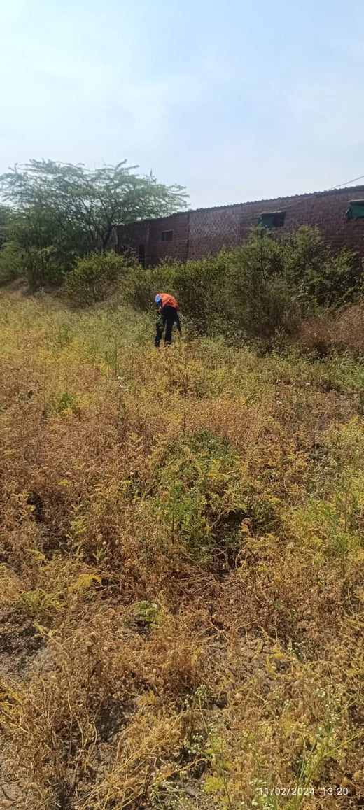 Mahakal Van - Ujjain, MP – Planting