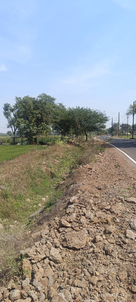 Mahakal Van - Ujjain, MP – Planting