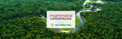 Creating a Legacy of Green: Mahindra Lifespace’s Agroforestry Tree Planting Efforts