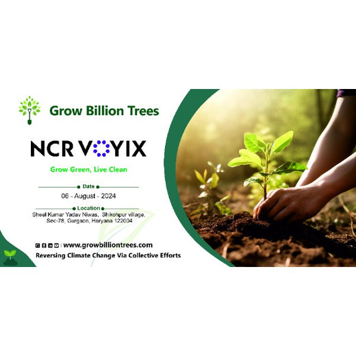 Empowering Green Growth: NCR Voyix's Employee-Driven Urban Forest – Planting