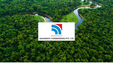 Nagarkot Forest