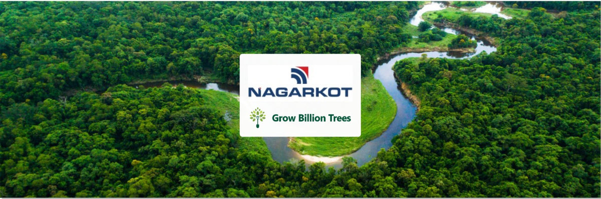 Planting for Progress: Nagarkot Forwarders Marks Women’s Day with Agroforest Planting