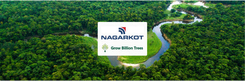 Planting for Progress: Nagarkot Forwarders Marks Women’s Day with Agroforest Planting