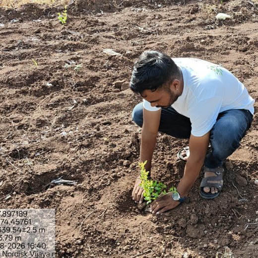 NOVO GBS (Global Business Service): Greening Lives, Growing Futures – Planting