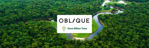 Greening the Future: OBLIQUE DESIGNS LLP Embraces Agroforestry