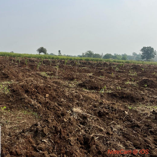 One Book, One Tree: Oswaal's Commitment to a Greener Tomorrow – Planting