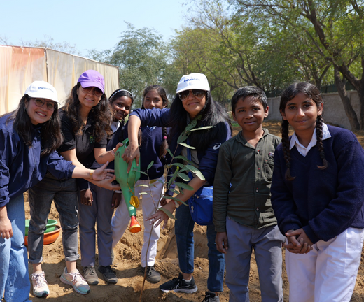 Grow Billon Trees - Carbon Neutral Meetings – Planting