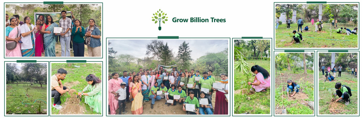 Poonam Bagai Living Tribute: Growing a Legacy That Lives On