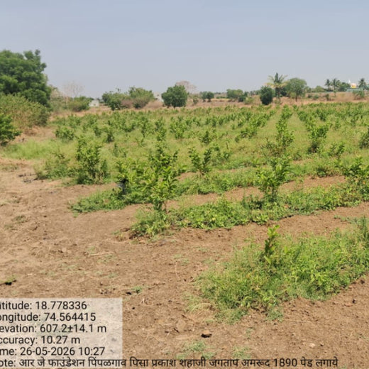 Project Van Dhara Under Varun Beverages Ltd’s CSR Arm RJ Foundation – 2 years