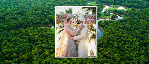 Rakul & Jackky's Wedding Forest in Goa