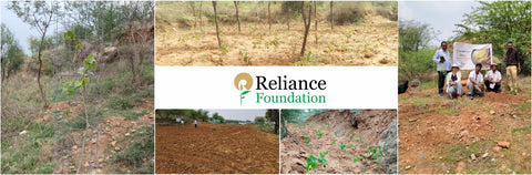 Reliance Foundation's Biodiversity Restoration Project: Sunhera Village