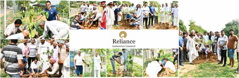 Reliance Industries Initiative: Community Tree Plantation for a Greener Future