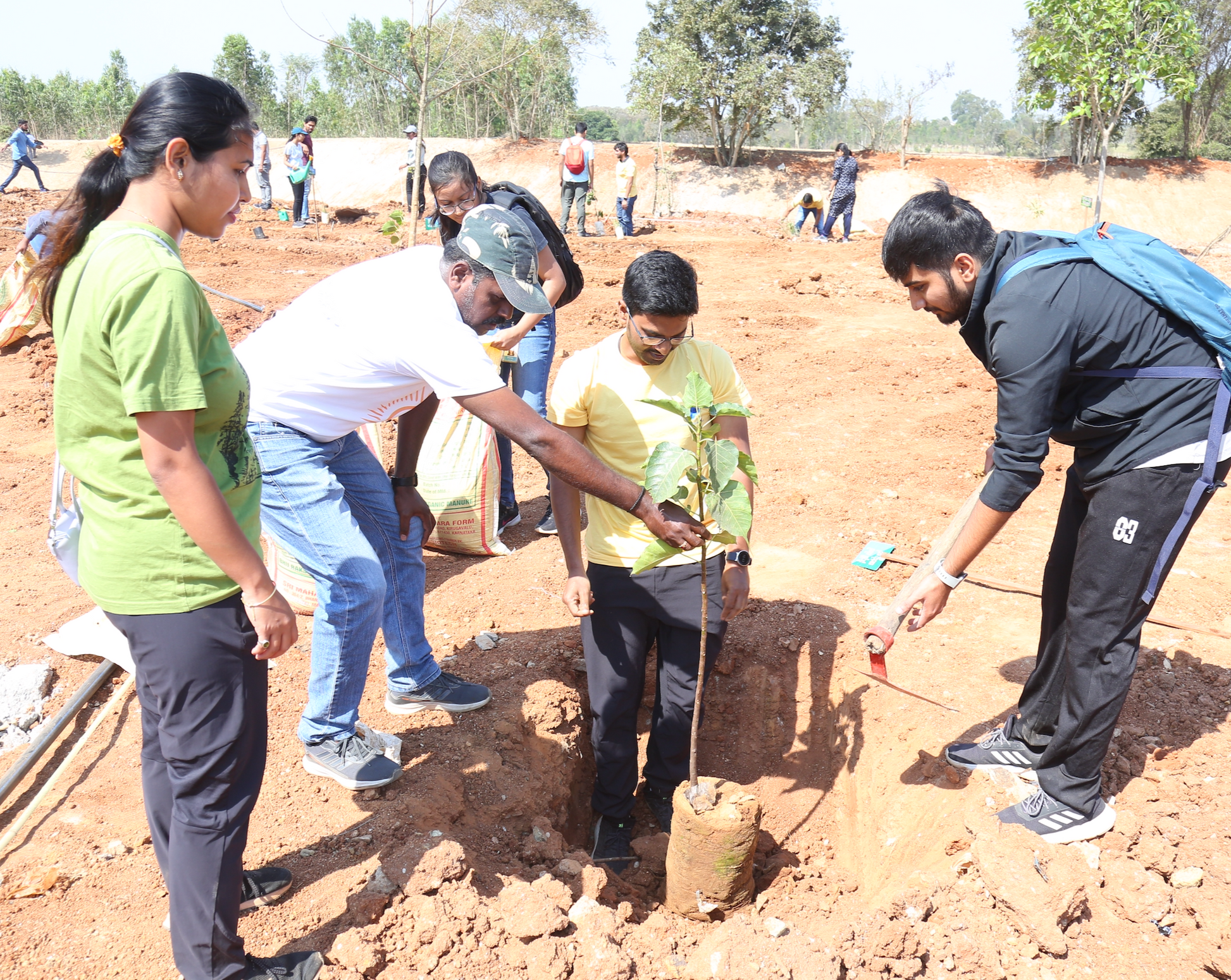 Grow Billion Trees for Employee Engagement 2