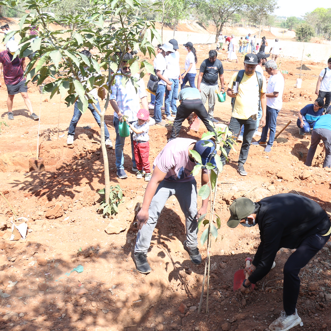 Nature s Blueprint How Trees Support All The 17 SDGs Grow Billion Trees Nature s blueprint how trees support all the 17 sdgs grow billion trees