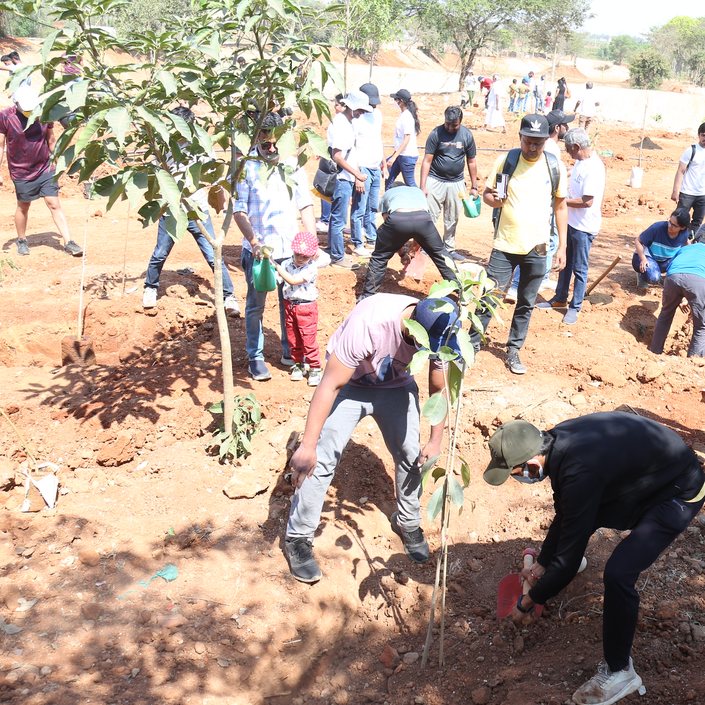 Grow Billion Trees for Employee Engagement