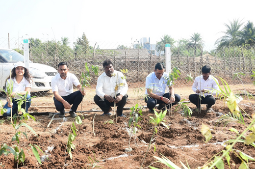 Dolara Village Blossoms: Silox India’s Miyawaki Green Legacy – 6 months