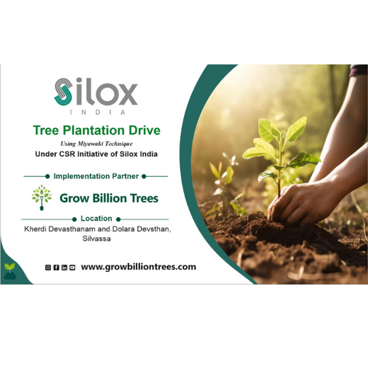 Dolara Village Blossoms: Silox India’s Miyawaki Green Legacy – 6 months