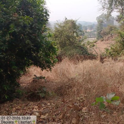 Silox India Agroforestry Initiative: Cultivating Sustainability and Biodiversity – 2 years