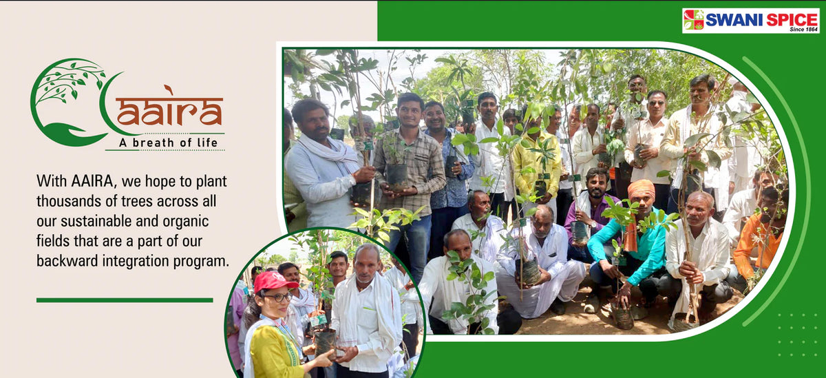 The Green Footprint Forest By Swani Spice