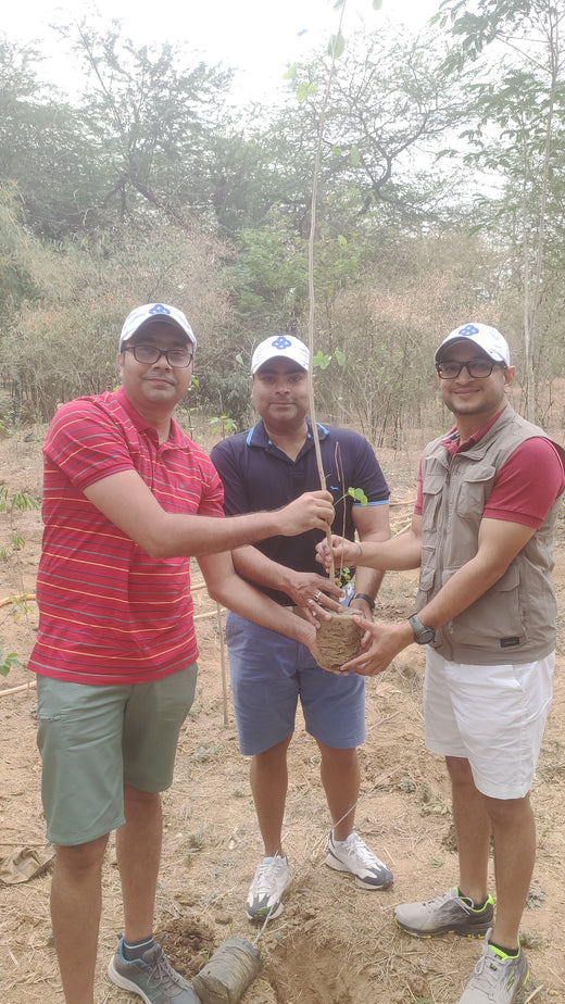 "Trammo Celebrates Earth Day with an Urban Forest Initiative to Engage Employees" – Planting