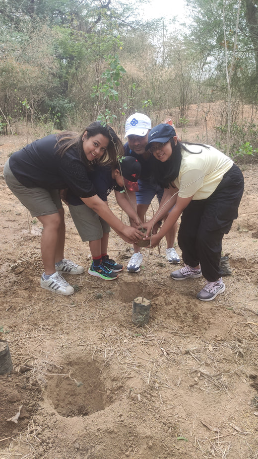 "Trammo Celebrates Earth Day with an Urban Forest Initiative to Engage Employees" – Planting