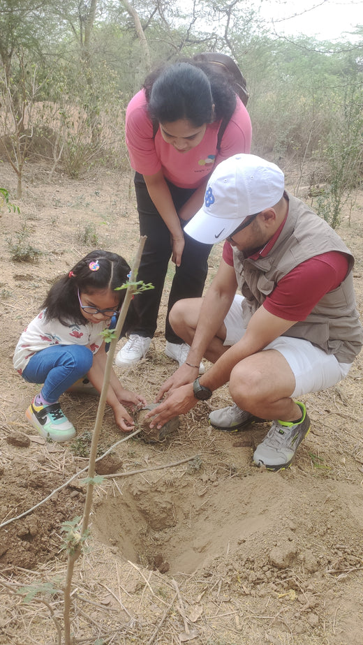 "Trammo Celebrates Earth Day with an Urban Forest Initiative to Engage Employees" – Planting