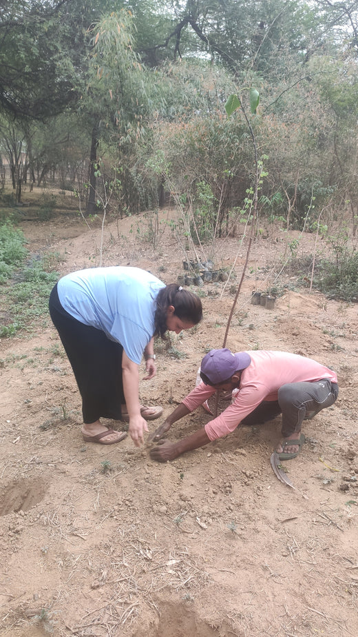 "Trammo Celebrates Earth Day with an Urban Forest Initiative to Engage Employees" – Planting