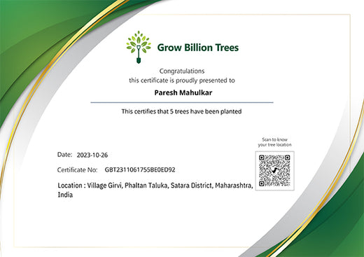 "From Ship to Soil: Swire Shipping’s Agroforest Contribution" – Planting