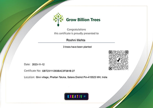 Diwali with a Purpose: Kreativ Street’s Client-Centered Agroforestry Initiative – Planting