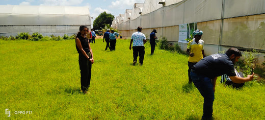 Celebrating World Environment Day: Jayanti Herbs & Spice's Commitment to Urban Forests and Employee Engagement – Planting