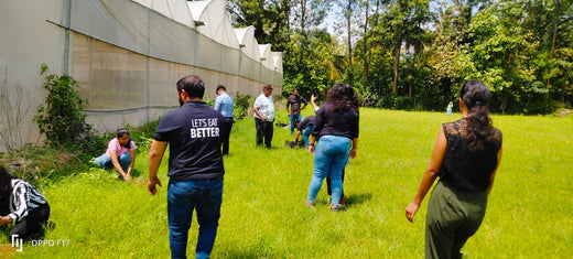 Celebrating World Environment Day: Jayanti Herbs & Spice's Commitment to Urban Forests and Employee Engagement – Planting